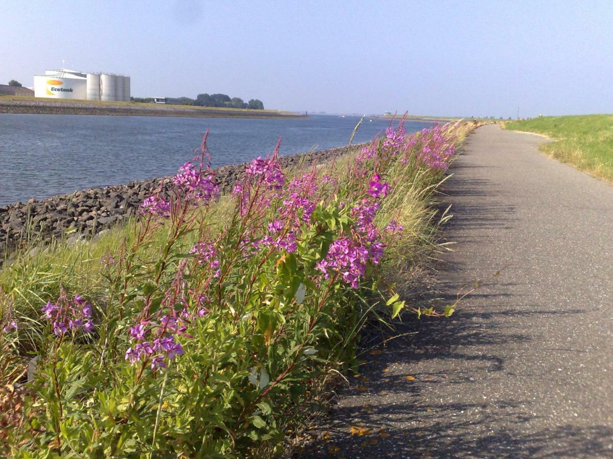Middensluis Vakantiehuis 韦默尔丁厄 外观 照片